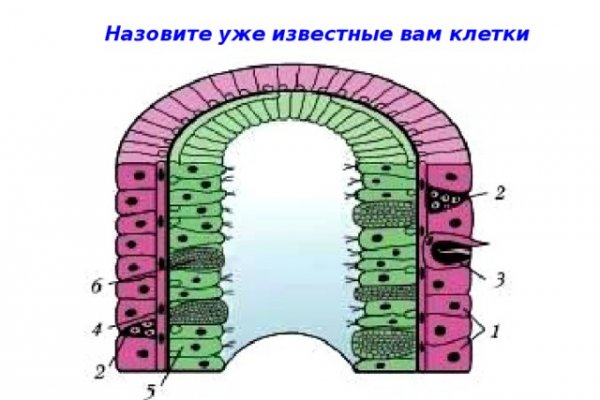 Кракен маркетплейс про