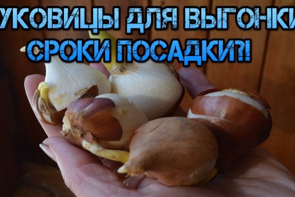 Кракен зеркало прокатис