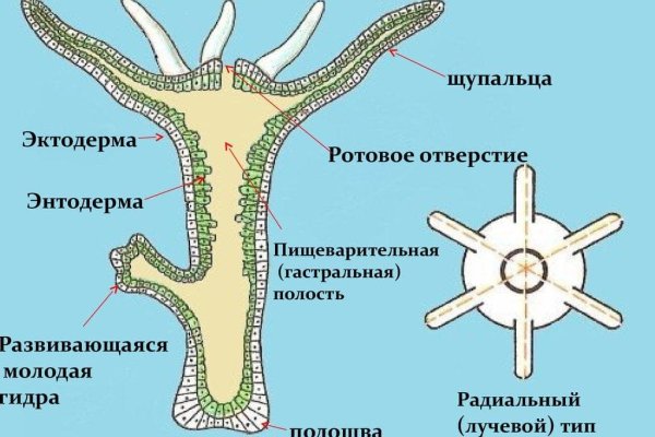 Кракен сайт даркнет зеркало