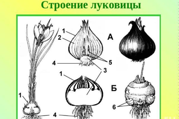 Кракен тор