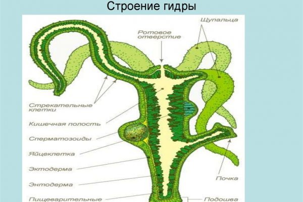 Кракен тор kraken dark