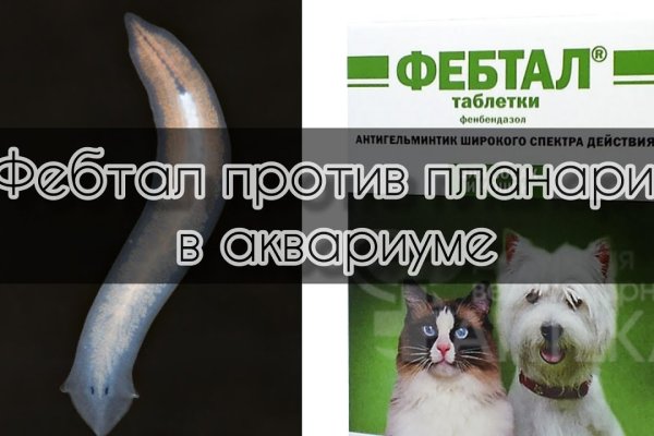 Даркнет москва