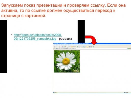 Кракен at