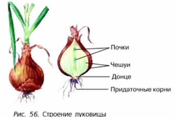 Кракен это что за сайт